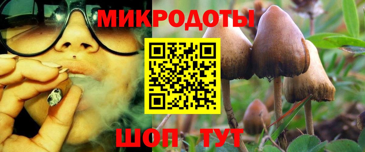 Галлюциногенные грибы Psilocybe  Вход с VPN  Галлюциногенные грибы Magic Shrooms  Новодвинск 